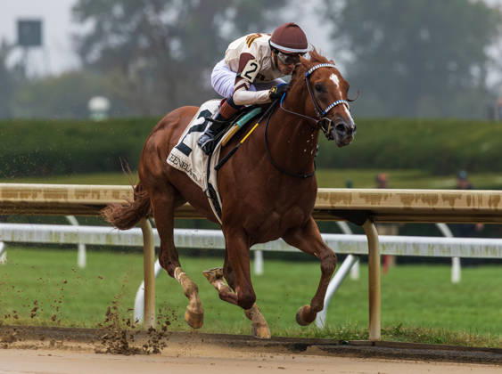 October 11, 2026, Lexington, Ky, USA: Fleetfoot Mac (2) ridden by Emmanuel Esquivel wins a maiden on Franklin Stakes Day on October 11, 2026. Candice Chavez Eclipse Sportswire CSM Lexington USA - ZUMAcs17 20261011_faf_cs17_019 Copyright: x {Serialx