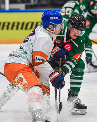 2026.10.13 Tychy Hokej na lodzie Hokejowa Liga Mistrzow Sezon 2026 2027 GKS Tychy - Tappara Tampere N z Niclas Almari Foto Marcin Bulanda PressFocus 2026.10.13 Tychy Ice hockey, Eishockey Champions Hockey League Season 2026 2027 GKS Tychy - Tappara Tampere Niclas Almari Credit: Marcin Bulanda PressFocus NEWSPIX.PL --- newspix.pl 
