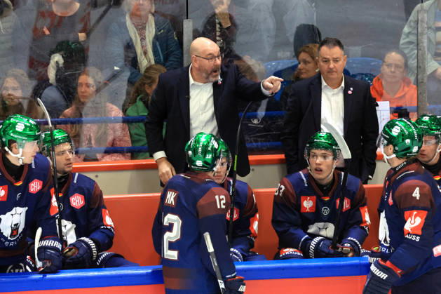 14.10.2026, DEU, GER, Eishockey, Champions League, Saison 2026 27, Berlin, Eisbaeren Berlin vs. Klagenfurther AC Cheftrainer Eric Dubois ( Eisbaeren Berlin ), Eisbareren-Spielerbank nordphoto GmbH Engler Stadt Wellblechpalast Bundesland Land Copyright: xNordphotox xEnglerx
