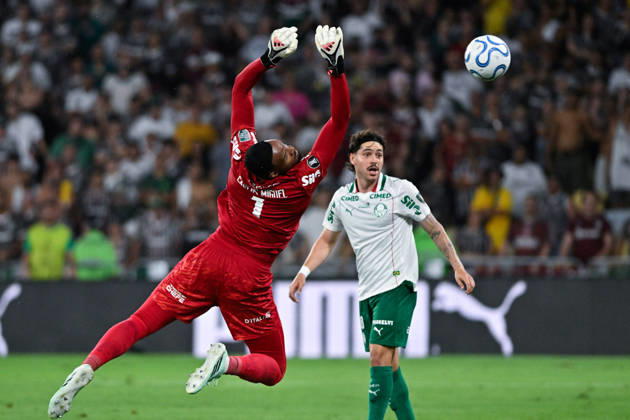 RIO DE JANEIRO, BRAZIL - OCTOBER 14: Carlos Miguel of Palmeiras concedes a goal by Wesley Nata of Fluminense (not in picture) during the Copa CONMEBOL Libertadores 2026 match between Fluminense and Palmeiras at Maracana on October 14, 2026 in Rio de Janeiro, Brazil (Photo by Andre Ricardo Sports Press Photo SPP) Copyright: xSportsxPressxPhotox Sportspressphoto_SPR256817