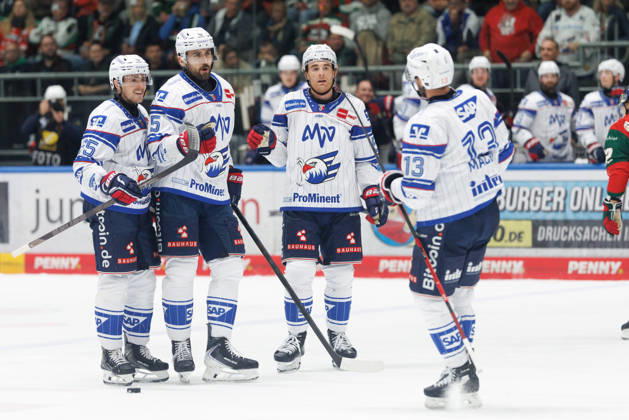 Team (Adler Mannheim) Tor zum 1 : 3 beim Spiel zwischen Augsburger Panther v Adler Mannheim, Eishockey, Herren, DEL, 2026 2027, 9.Spieltag am 16.10.2026 in Augsburg, Curt-Frenzel-Stadion. Bayern Deutschland