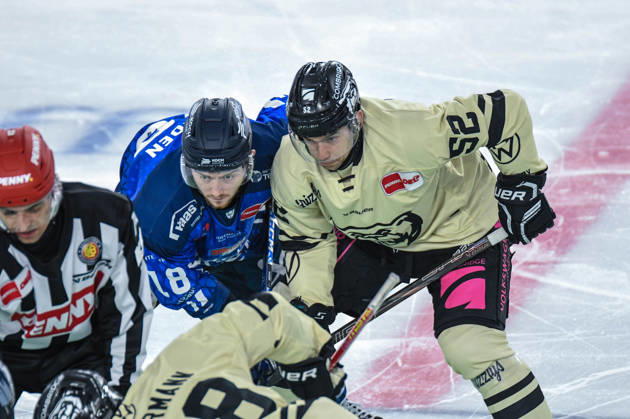 Straubing Tigers vs. Grizzlys Wolfsburg, Eishockey, Deutsche Eishockey Liga, Penny DEL, 10.Spieltag, Saison 2026 2027, 18.10.2026 Tyler Madden (Straubing Tigers) beim Bully mit Sven Ziegler (Grizzlys Wolfsburg), Eishockey Herren, Deutsche Eishockey Liga, Penny DEL, 10.Spieltag, Saison 2026 2027 am 18.10.2026 im Eisstadion am Pulverturm, Straubing Tigers (blau) gegen Grizzlys Wolfsburg (beige)