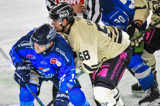 Straubing Tigers vs. Grizzlys Wolfsburg, Eishockey, Deutsche Eishockey Liga, Penny DEL, 10.Spieltag, Saison 2026 2027, 18.10.2026 Tim Brunnhuber (Straubing Tigers) beim Bully mit Tyler Gaudet (Grizzlys Wolfsburg), Eishockey Herren, Deutsche Eishockey Liga, Penny DEL, 10.Spieltag, Saison 2026 2027 am 18.10.2026 im Eisstadion am Pulverturm, Straubing Tigers (blau) gegen Grizzlys Wolfsburg (beige)