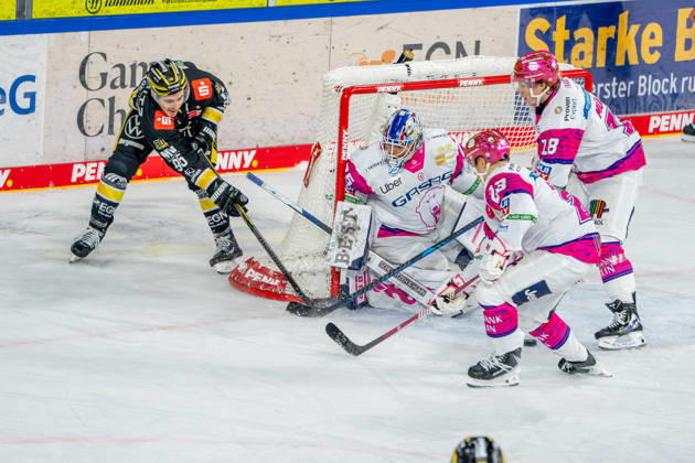 18.10.2026, xkkux, Eishockey, DEL, Krefeld Pinguine - Eisbären Berlin, Saison 2026 27, YAYLA-Arena Krefeld: Mathew Santos (Krefeld Pinguine 95) im Zweikampf gegen Goalie Jonas Neffin (Eisbären Berlin 75) Rihards Griva (Eisbären Berlin 23) Jonas Müller (Eisbären Berlin 18) Nordrhein-Westfahlen Deutschland