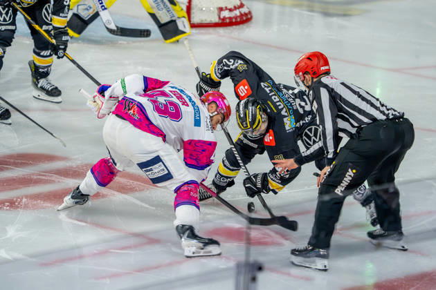 18.10.2026, xkkux, Eishockey, DEL, Krefeld Pinguine - Eisbären Berlin, Saison 2026 27, YAYLA-Arena Krefeld: Andreas Eder (Eisbären Berlin 43) im Zweikampf gegen C.J. Suess (Krefeld Pinguine 27) beim Bully Nordrhein-Westfahlen Deutschland