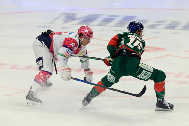 23.10.2026, DEU, GER, Eishockey, 11.Spieltag, Saison 2026 27, Berlin, Eisbaeren Berlin vs. Augsburger Panther Brandon Davidson ( Eisbaeren Berlin 44 )., CAMERON WRIGHT ( Augsburger Panther 16 ) nordphoto GmbH Engler Berlin Uber-Arena Berlin Deutschland Copyright: xNordphotox xEnglerx