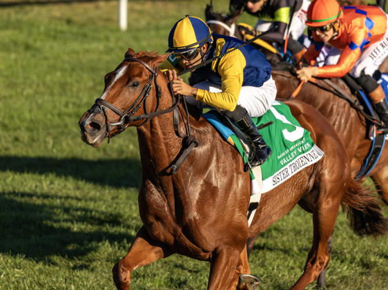 HORSE RACING 2026: Bank Of America Valley View S Day Keeneland OCT 23 October 23, 2026, Lexington, Ky, USA: Sister Troienne (5) ridden by Luis Saez wins the Bank of Americca Valley View Stakes during Bank of America Valley View S Day on October 23, 2026. Candice Chavez Eclipse Sportswire CSM(Credit Image: Â {Serial Cal Media) Lexington Ky USA EDITORIAL USE ONLY Copyright: xx ZUMA-20261023_faf_cs17_029.jpg {Serialx csmphotothree537416