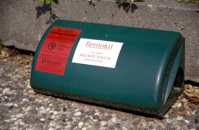 Rattengift Fotos | IMAGO