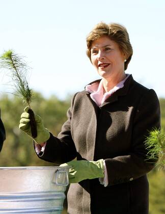 First Lady Laura Bush (USA) mit einer kleinen Weymouthskiefer anlässlich einer Pflanzaktion im Forest Park in St. Louis anlässlich des 50 jährigen Bestehens der - Enterprise Rent-A-Car -  slp2006101201