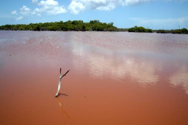 Rotes Wasser - Cayman Islands