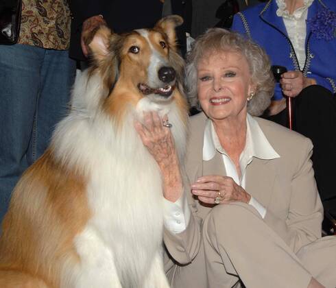 Schauspielerin June Lockhart mit Hund Lassie anlässlich der Vorstellung einer Briefmarkenserie - Early TV Memories - in North Hollywood - (ZUMAd79)