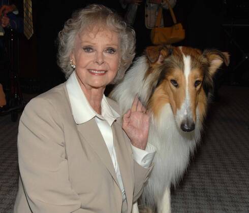 Schauspielerin June Lockhart mit Hund Lassie anlässlich der Vorstellung einer Briefmarkenserie - Early TV Memories - in North Hollywood - (ZUMAd79)