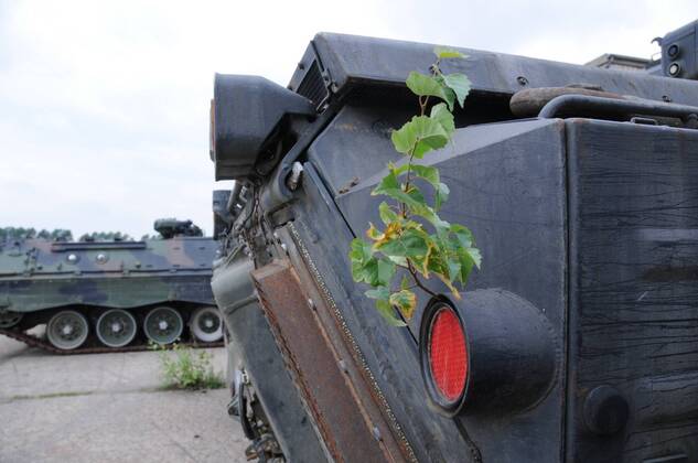 Pflanzenbewuchs an einem Sp�hpanzer in der Battle Tank Dismantling GmbH in Eberl