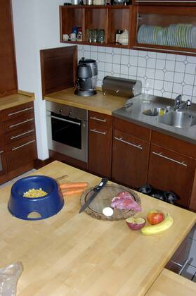 Hundefutter wird in Kueche zubereitet food for dog gets prepared in kitchen BLWS029684