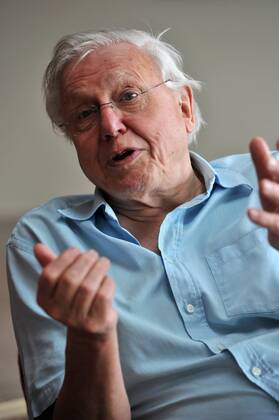 IMAGO ICONS: Sir David Attenborough David Attenborough in SA PORT ELIZABETH, SOUTH AFRICA ? 11 April 2011: British broadcaster Sir David Attenborough who makes documentaries for BBC during an interview in Port Elizabeth, South Africa on 11 April 2011 where he is being given an honourary doctorate by Nelson Mandela Metropolitan University. ( Gallo0000014395