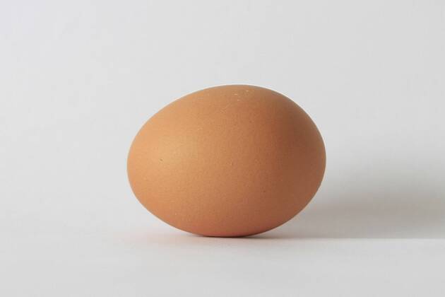 egg, eggs (CTKxPhoto JakubxSyrucek) CTKPhoto549201203120325701