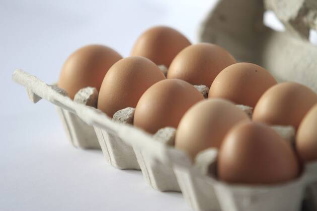 egg, eggs (CTKxPhoto JakubxSyrucek) CTKPhoto579201203120319601