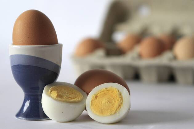 egg, eggs (CTKxPhoto JakubxSyrucek) CTKPhoto565201203120321501