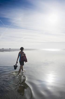 Junge Frau bei einer Wattwanderung, Wyk, Föhr, Nordfriesland, Schleswig-Holstein, Deutschland, Europa ibldjs02376931
