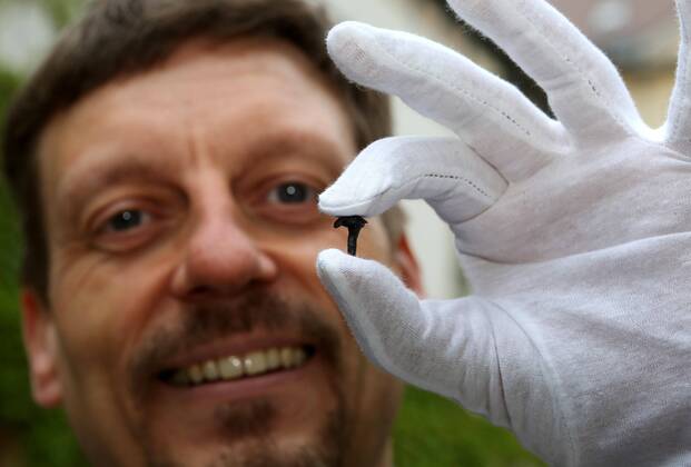 Römische Truppen in Thüringen 09.05.14 , Weimar, Pressekonferenz zu Funden aus der Römerzeit in Hachelbich im Bild: Dr.Mario Küssner (45) mit Fundstücken aus Hachelbich, die beweisen, dass die Römer in Thüringen waren