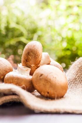 Frische braune champignons im Sonnenlicht auf einem Holztisch bei Tageslicht