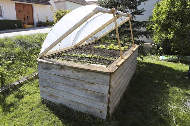Hochbeet  1065501677