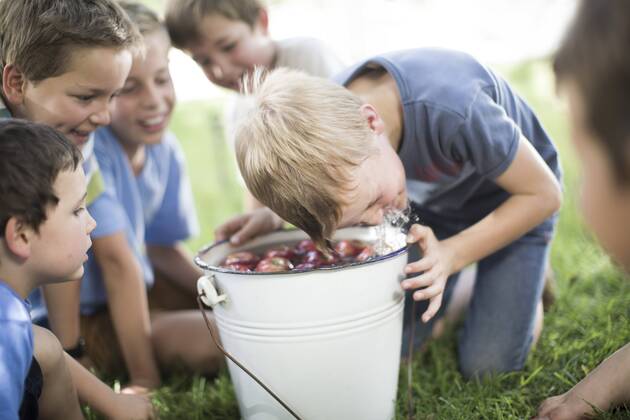 Boy trying to take apple out of bucket with water model released Symbolfoto property released  ZEF002832