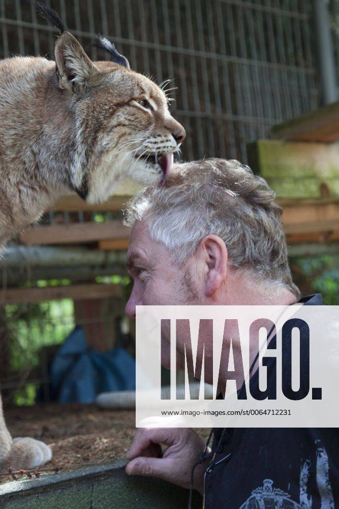 Stockfoto Katzenfan Lutz Weissbach 54 Aus Dresden Haelt
