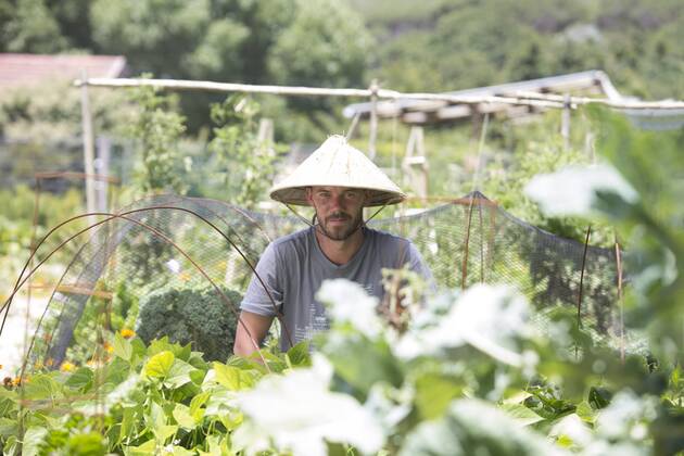 IMAGO Creative, Jahreszeit Sommer, Sonnenschutz Gardener with Asian hat at work model released Symbolfoto property released ZEF004046