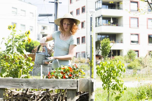 Young woman gardening, urban gardening, raised bed, watering model released Symbolfoto property released  SGF001824