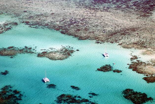 Great Barrier Reef von oben, Australien, Queensland Great Barrier Reef from above, Australia, Queensland BLWS246096