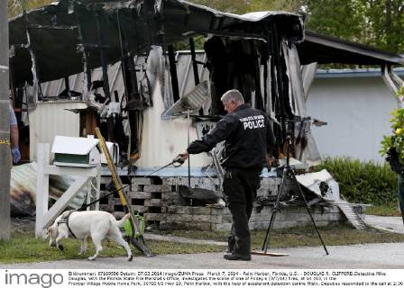 March 7, 2014 - Palm Harbor, Florida, U.S. - DOUGLAS R. CLIFFORD.Detective Mike Douglas, with the Florida State Fire Marshal s Office, investigates the scene of one of Friday s (3 7 14) fires, at lot 103, in the Frontier Village Mobile Home Park, 30700 US Hwy 19, Palm Harbor, with the help of accelerant detection canine Misty. Deputies responded to the call at 2:30 a.m. prompting a multi-agency investigation of two separate fires discovered at the park this morning, including the mobile home on lot 103 engulfed in flames. A neighbor helped evacuate the two residents inside, Animal Kidd, 65, and Marcus DeVoto, 63, who were both treated for smoke inhalation, according to deputies. While Palm Harbor Fire Rescue was extinguishing the fire at lot 103, another smaller fire was discovered at lot 80 nearby and was quickly extinguished. The lot was vacant and no injuries were reported. - ZUMAs70
