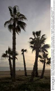 14.01.2016 --- Fussball - 2. Bundesliga - Saison 2015 2016 --- SpVgg Greuther Fürth Fuerth --- Training Trainingslager Wintertrainingslager --- La Cala de Mijas Spanien --- WoZi --- Strand von La Cala de Mijas - Palmen Impression Trainingslager SpVgg Greuther Fürth
