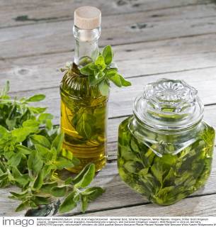 Gemeiner Dost, Scharfer Oreganum, Wilder Majoran, Oregano, Echter Dost (Origanum vulgare), Oregano mit Olivenoel angesetzt, Deutschland wild origanum, wild marjoram (Origanum vulgare), Wild Marjoram in olive oil, Germany BLWS417775 Copyright: xblickwinkel F.xHeckerx