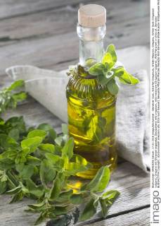 Gemeiner Dost, Scharfer Oreganum, Wilder Majoran, Oregano, Echter Dost (Origanum vulgare), Oregano mit Olivenoel angesetzt, Deutschland wild origanum, wild marjoram (Origanum vulgare), Wild Marjoram in olive oil, Germany BLWS417774 Copyright: xblickwinkel F.xHeckerx
