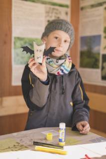 Tinkering paper bats model released Symbolfoto  ASCF000492