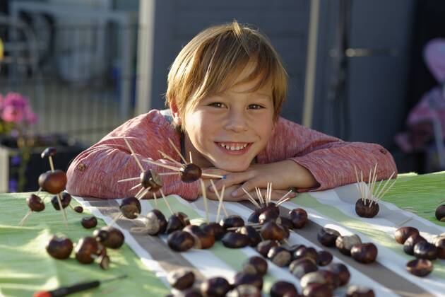 Portrait of happy little boy with tinkered chestnut figurines model released Symbolfoto  LBF001390