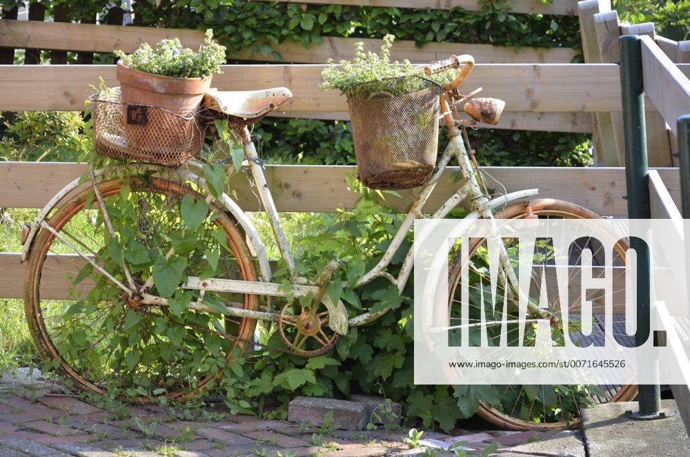 Stockfoto Shabby Chic Bepflanztes Fahrrad Im Vintage Lo