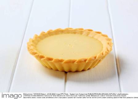 Custard tart Custard tart  xdigifoodstockx CTKPhoto201305140805801