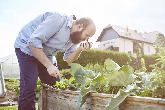 Young man working in garden, smelling fresh soil model released Symbolfoto property released  SEGF000551