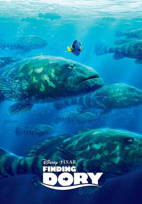RELEASE DATE: June 17, 2016 TITLE: Finding Dory STUDIO: U.S. - ZUMAg90_