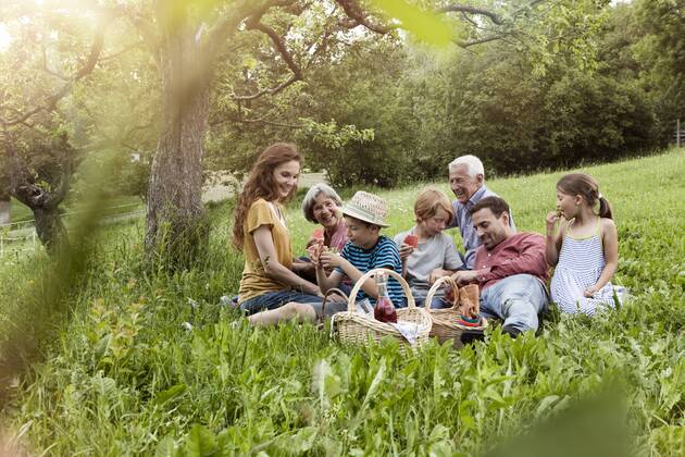 Extended family having a picnic in meadow model released Symbolfoto RBF004782