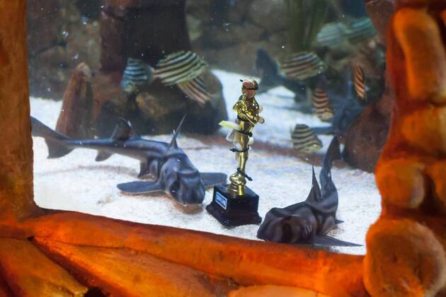 Port Jackson Stierkopfhai - Siegerehrung zu Deutschland sucht den Superfisch im SEA LIFE Berlin am 29.08.2016. Zehn Wochen lang hat das SEA LIFE Berlin die Besucher befragt, wer ihr Lieblingsbewohner des Aquariums ist. Deutschland sucht den Superfisch