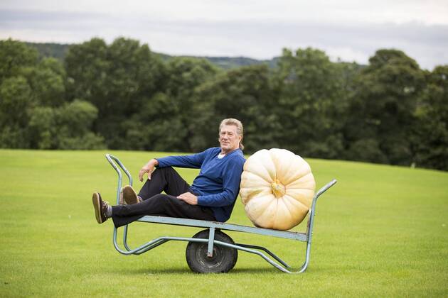 September 16, 2016 - Harrogate, Yorkshire, UK - Harrogate UK. Picture shows Brian Marshall & his prize winning Pumpkin that weighed 139.5 KG at the Giant vegetable competition in Harrogate. The competition see s competitors from across the UK show their biggest Carrot s, Cucumbers, Cabbages, Onion s & Tomatoes competing for the title of heaviest & longest at the Harrogate Autumn Flower Show. Harrogate UK  - ZUMAl94_