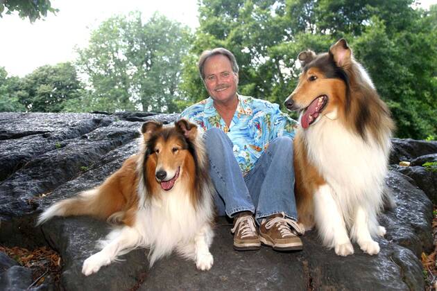 Aug. 5, 2008 - New York, New York, U.S. - I13561BT.JOHN PROVOST (TIMMY OF LASSIE FAME) CELEBRATES HIS BOOK TIMMY S IN THE WELL, THE JOHN PROVOST STORY .NEW YORK New York 08-05-2008. - - PHTOS, INC. Â - ZUMAta1_