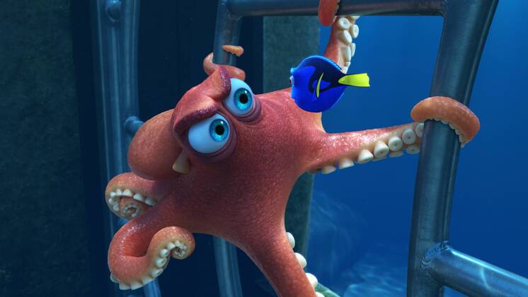 RELEASE DATE: June 17, 2016 TITLE: Finding Dory STUDIO: DIRECTOR: Andrew Stanton, Angus MacLane PLOT: The friendly-but-forgetful blue tang fish reunites with her loved ones, and everyone learns a few things about the real meaning of family along the way STARRING: Ellen DeGeneres, Albert Brooks, Ed O Neill (Credit: © Pixar Entertainment Pictures ZUMAPRESS.com Los Angeles U.S. - ZUMAg90_