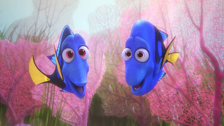 RELEASE DATE: June 17, 2016 TITLE: Finding Dory STUDIO: DIRECTOR: Andrew Stanton, Angus MacLane PLOT: The friendly-but-forgetful blue tang fish reunites with her loved ones, and everyone learns a few things about the real meaning of family along the way STARRING: Ellen DeGeneres, Albert Brooks, Ed O Neill (Credit: © Pixar Entertainment Pictures ZUMAPRESS.com Los Angeles U.S. - ZUMAg90_