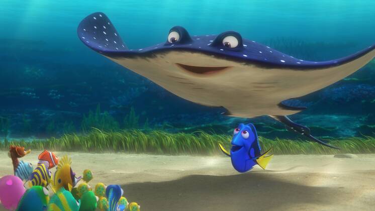 RELEASE DATE: June 17, 2016 TITLE: Finding Dory STUDIO: DIRECTOR: Andrew Stanton, Angus MacLane PLOT: The friendly-but-forgetful blue tang fish reunites with her loved ones, and everyone learns a few things about the real meaning of family along the way STARRING: Ellen DeGeneres, Albert Brooks, Ed O Neill (Credit: © Pixar Entertainment Pictures ZUMAPRESS.com Los Angeles U.S. - ZUMAg90_