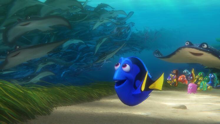 RELEASE DATE: June 17, 2016 TITLE: Finding Dory STUDIO: DIRECTOR: Andrew Stanton, Angus MacLane PLOT: The friendly-but-forgetful blue tang fish reunites with her loved ones, and everyone learns a few things about the real meaning of family along the way STARRING: Ellen DeGeneres, Albert Brooks, Ed O Neill (Credit: © Pixar Entertainment Pictures ZUMAPRESS.com Los Angeles U.S. - ZUMAg90_