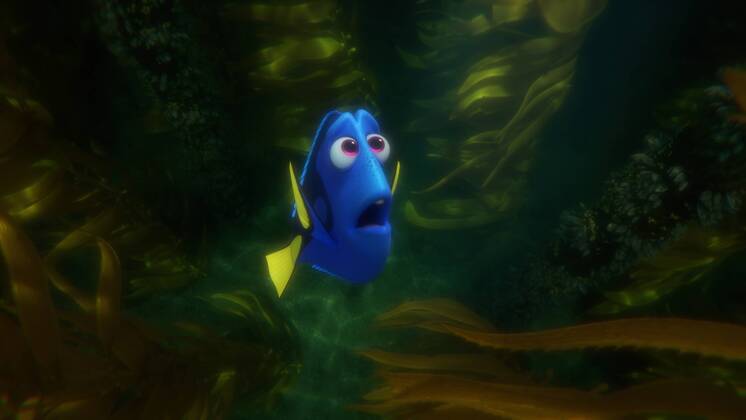RELEASE DATE: June 17, 2016 TITLE: Finding Dory STUDIO: DIRECTOR: Andrew Stanton, Angus MacLane PLOT: The friendly-but-forgetful blue tang fish reunites with her loved ones, and everyone learns a few things about the real meaning of family along the way STARRING: Ellen DeGeneres, Albert Brooks, Ed O Neill (Credit: © Pixar Entertainment Pictures ZUMAPRESS.com Los Angeles U.S. - ZUMAg90_